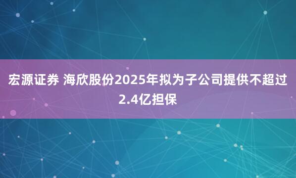 宏源证券 海欣股份2025年拟为子公司提供不超过2.4亿担保