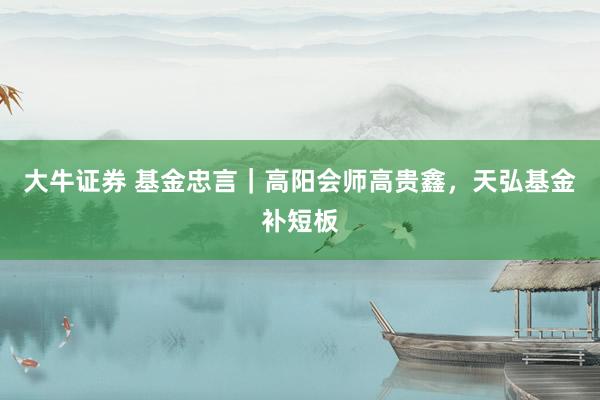 大牛证券 基金忠言｜高阳会师高贵鑫，天弘基金补短板