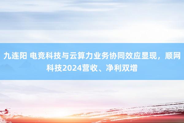 九连阳 电竞科技与云算力业务协同效应显现，顺网科技2024营收、净利双增