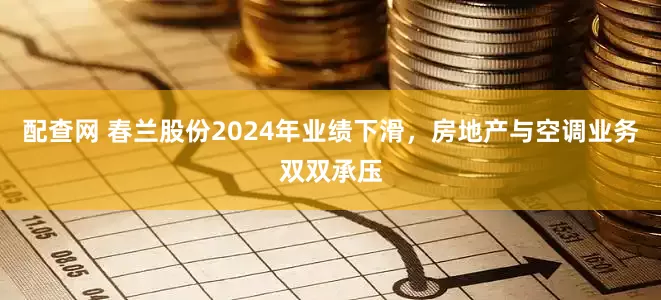 配查网 春兰股份2024年业绩下滑，房地产与空调业务双双承压