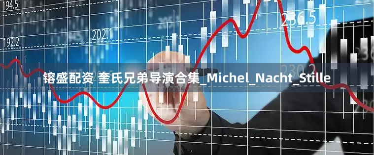 镕盛配资 奎氏兄弟导演合集_Michel_Nacht_Stille