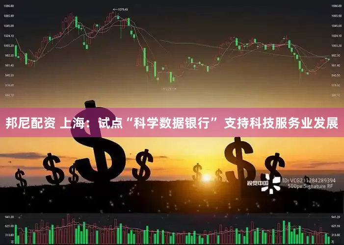 邦尼配资 上海：试点“科学数据银行” 支持科技服务业发展